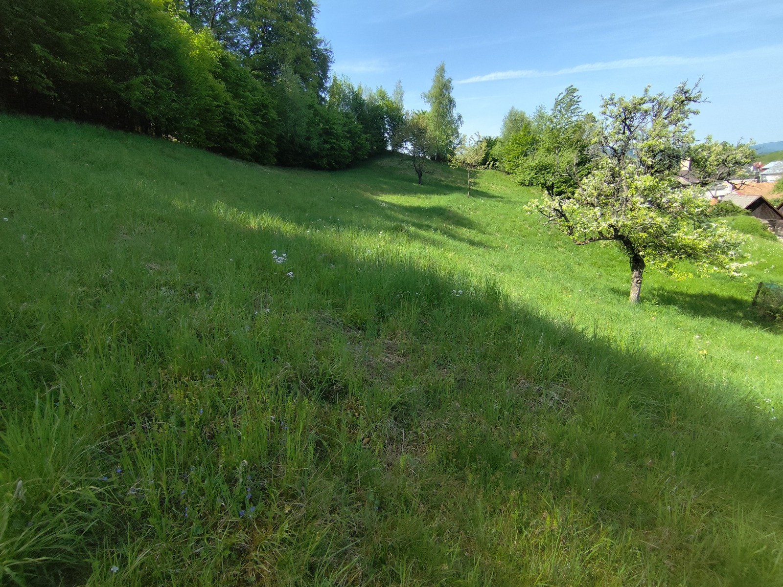 Na predaj 2 stavebné pozemky na výstavbu rodinných domov