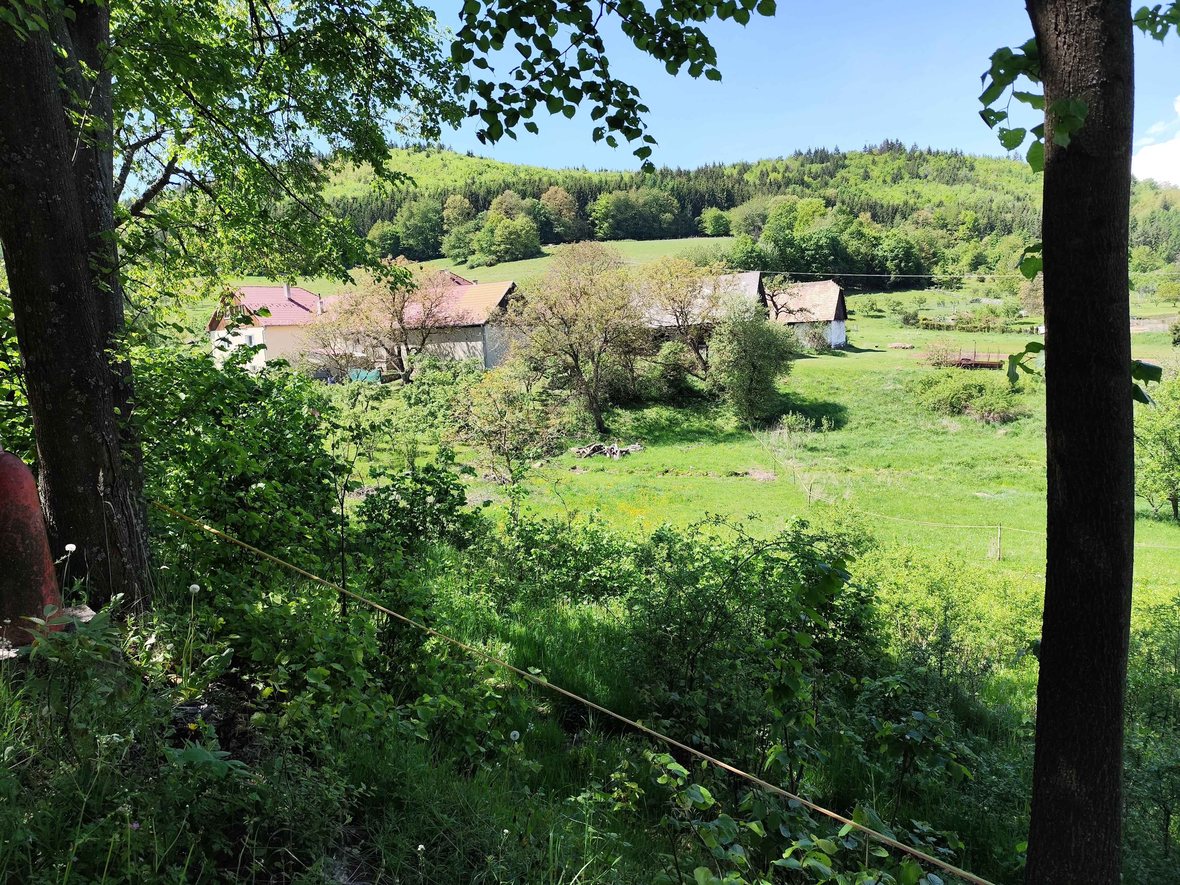 Na predaj, Stavebný pozemok, 1168 m2, Zvolen - Kráľová