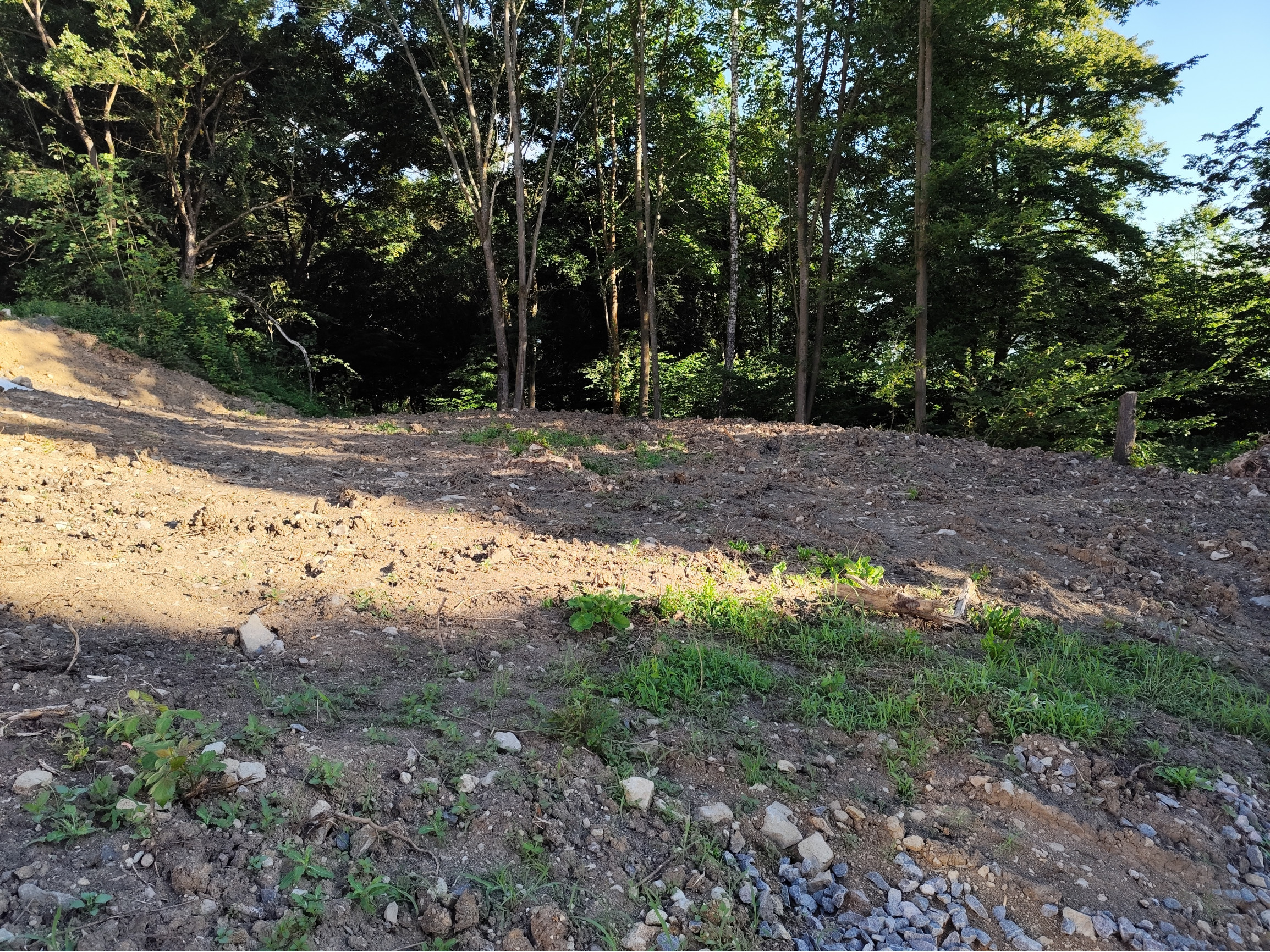 Na predaj, pozemok s elektrikou, Zvolenská priehrada, 518 m2