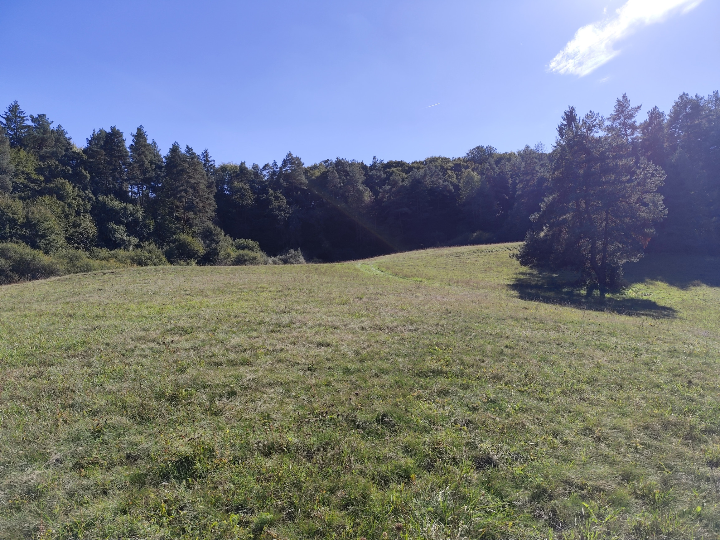 Na Predaj, Chalupa na samote, 70 m2, 12 km od Zvolena