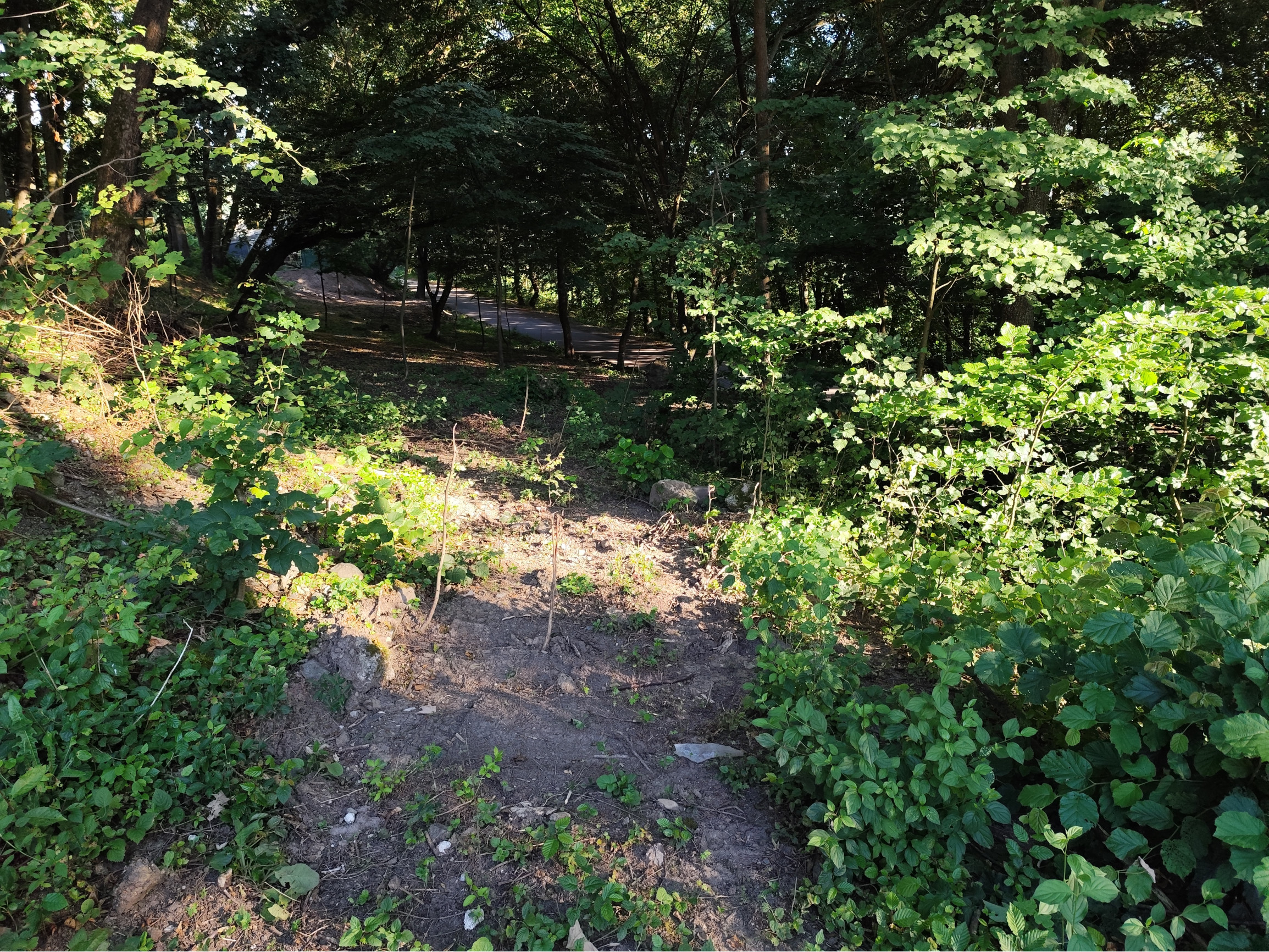 Na predaj, pozemok s elektrikou, Zvolenská priehrada, 518 m2