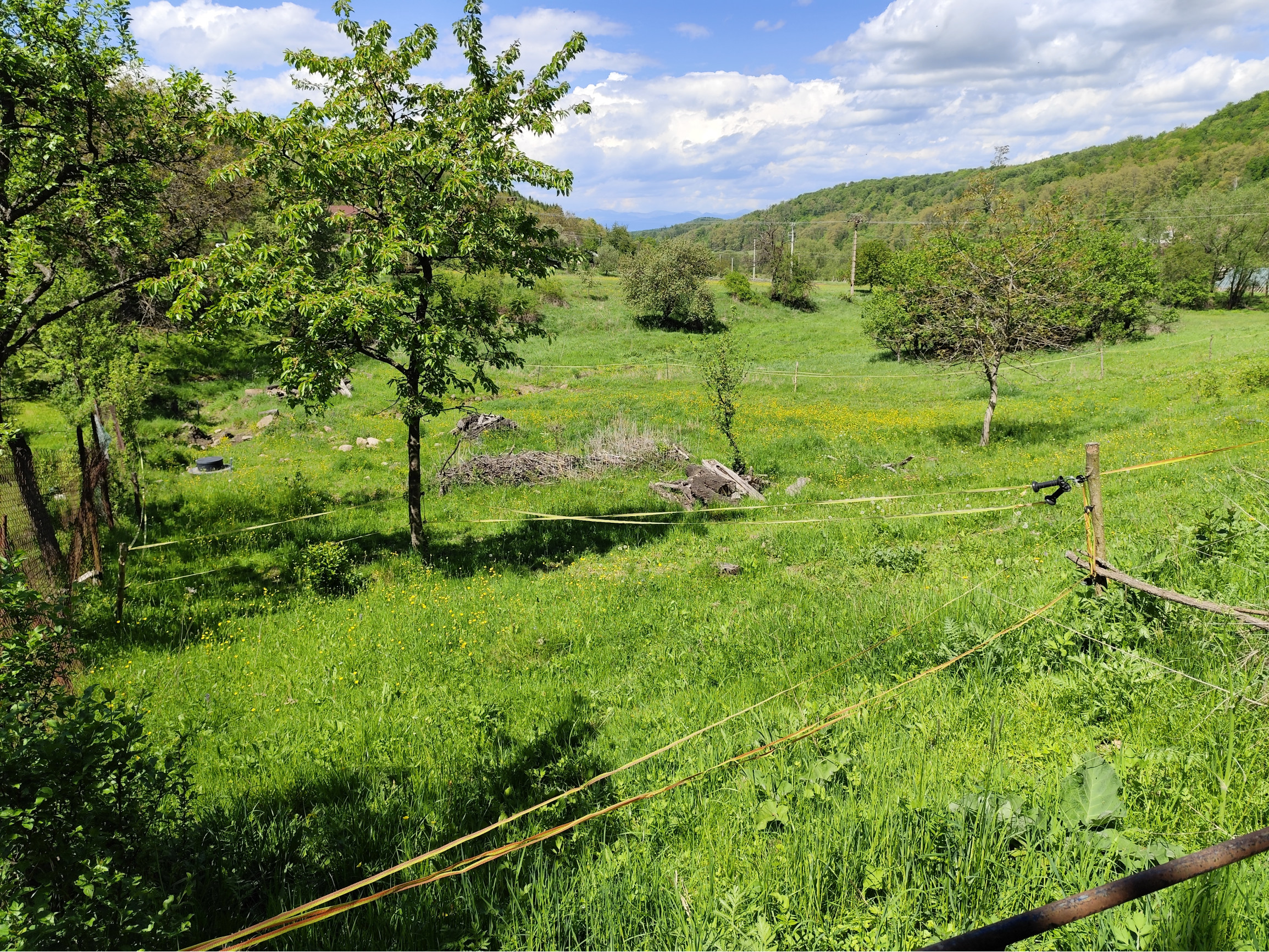 Na predaj, Stavebný pozemok, 1168 m2, Zvolen - Kráľová