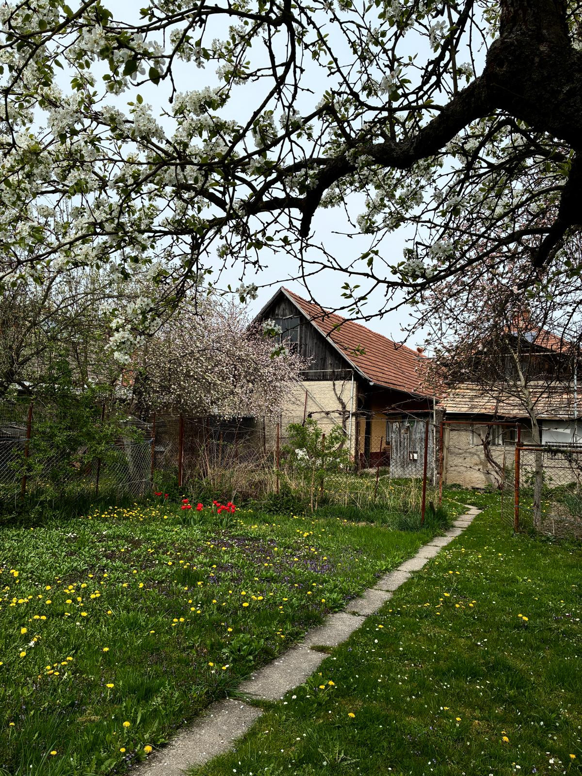 Dvojpodlažný rodinný dom Lovča