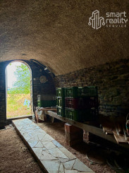 Čarovný vinohrad s pivnicou a tohtoročnou úrodou v cene