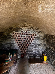 Čarovný vinohrad s pivnicou a tohtoročnou úrodou v cene