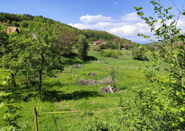 Na predaj, Stavebný pozemok, 1168 m2, Zvolen - Kráľová