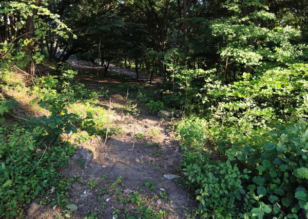 Na predaj, Pozemok na Zvolenskej priehrade, 518 m2