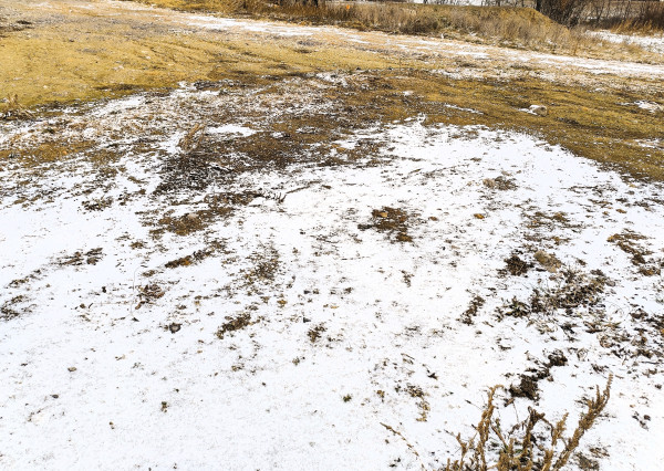 Na predaj, stavebný pozemok, 687 m2, Banská Štiavnica