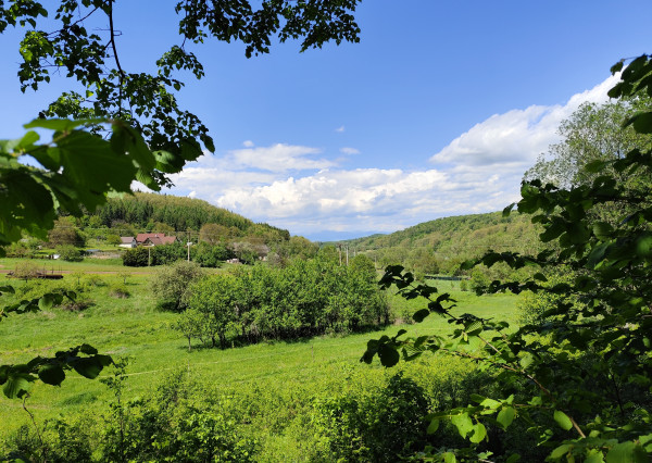 Na predaj, Stavebný pozemok, 1168 m2, Zvolen - Kráľová