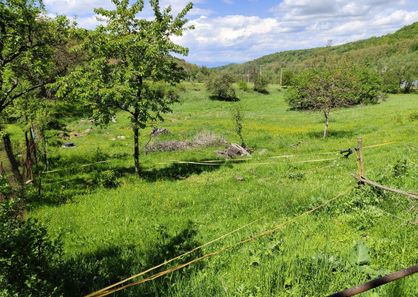 Na predaj, Stavebný pozemok, 1168 m2, Zvolen - Kráľová