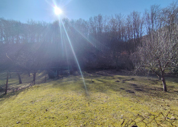 Investícia, Rodinný dom/2 stavebné pozemky, 1439 m2, Malachov