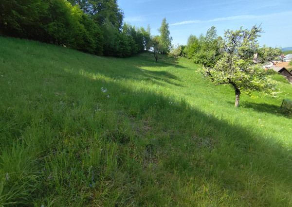 Na predaj 2 stavebné pozemky na výstavbu rodinných domov