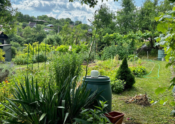 REZERVOVANÉ !!!  predaj záhradka  s chatkou