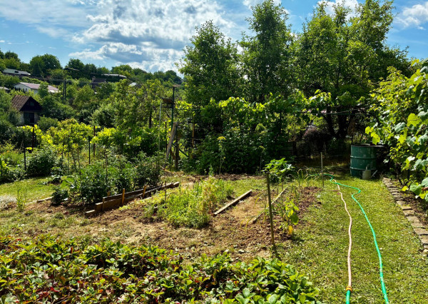 REZERVOVANÉ !!!  predaj záhradka  s chatkou
