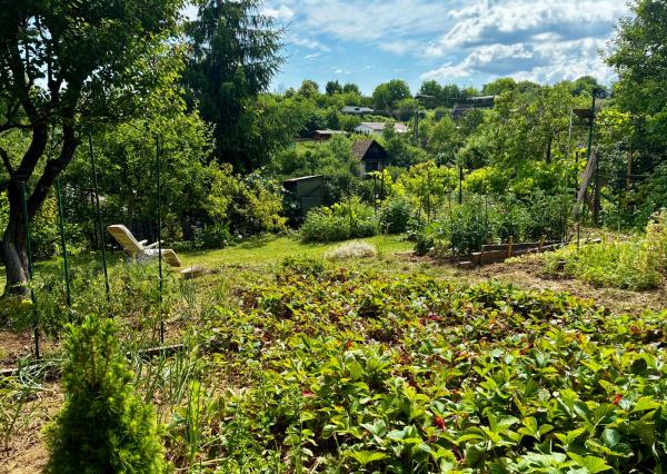 REZERVOVANÉ !!!  predaj záhradka  s chatkou