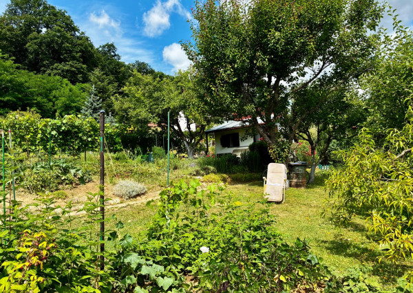 REZERVOVANÉ !!!  predaj záhradka  s chatkou