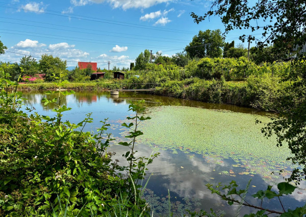 REZERVOVANÉ !!!  predaj záhradka  s chatkou