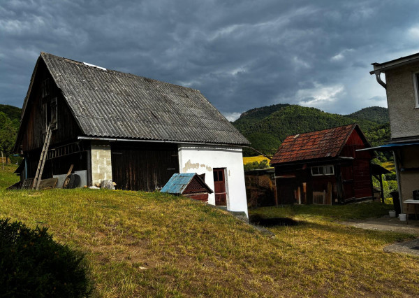 Na predaj rodinný dom s veľkým pozemkom – Vyhne, časť Peserany