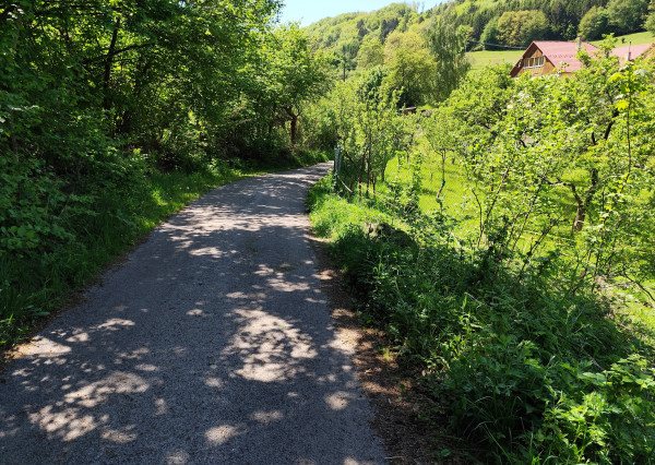 Na predaj, Stavebný pozemok, 1168 m2, Zvolen - Kráľová