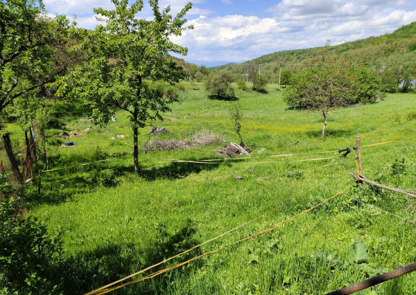 Na predaj, Stavebný pozemok, 1168 m2, Zvolen - Kráľová