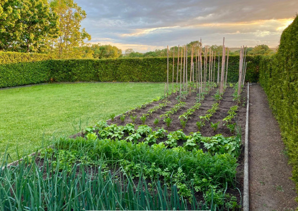 Na predaj 6i rodinný dom, Tornaľa