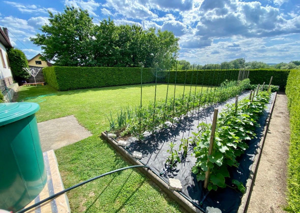 Na predaj 6i rodinný dom, Tornaľa