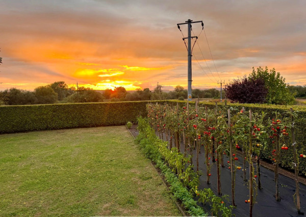Na predaj 6i rodinný dom, Tornaľa