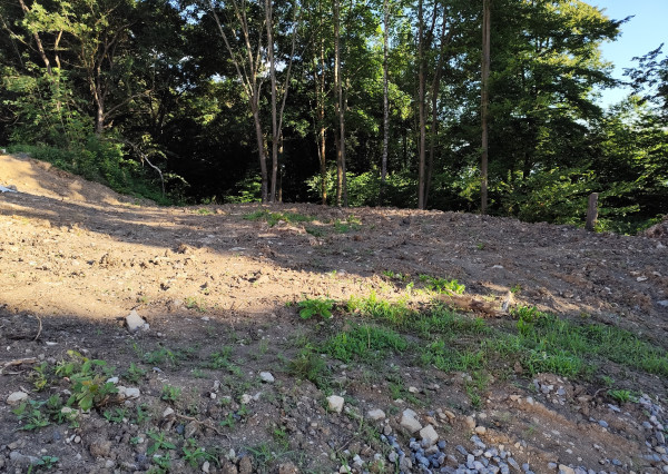 Na predaj, pozemok s elektrikou, Zvolenská priehrada, 518 m2