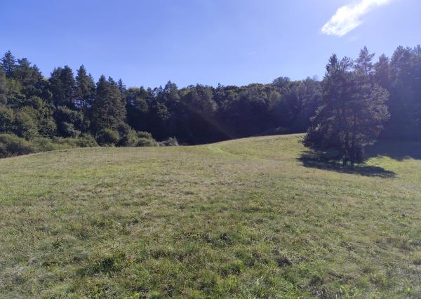 Na Predaj, Chalupa na samote, 70 m2, 12 km od Zvolena