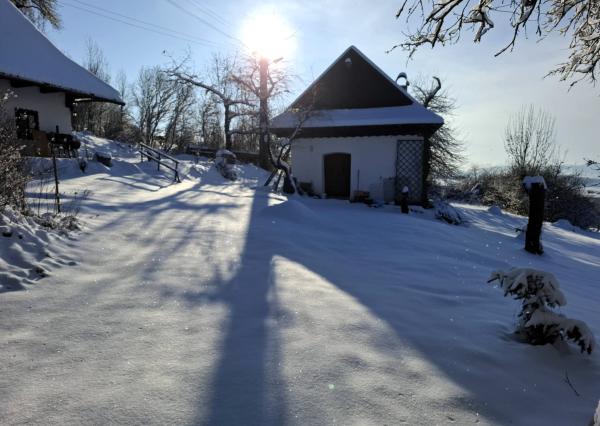 Na Prenájom, Rodinný dom (alebo dva), 58/33 m2, Detva Lažtek