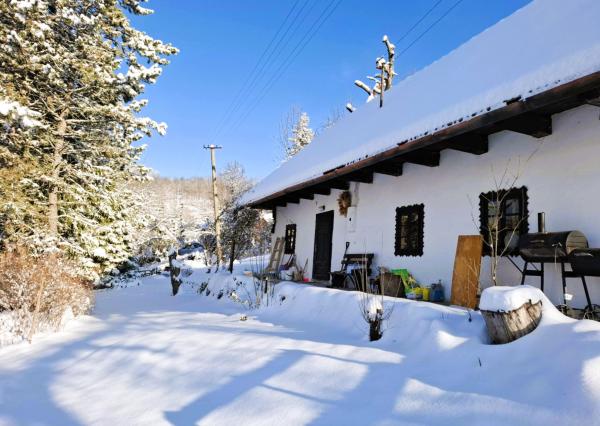 Na Prenájom, Rodinný dom (alebo dva), 58/33 m2, Detva Lažtek