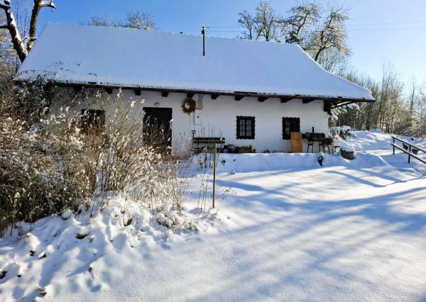 Na Prenájom, Rodinný dom (alebo dva), 58/33 m2, Detva Lažtek