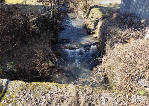 PREDANÉ Rodinný dom/2 stavebné pozemky,1439 m2, Malachov