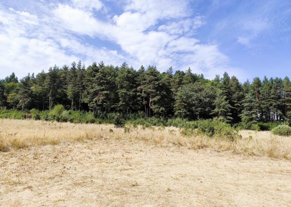 Chalupa 5 minút od Zvolena – 60m2, pozemok 501 m2, Bienska