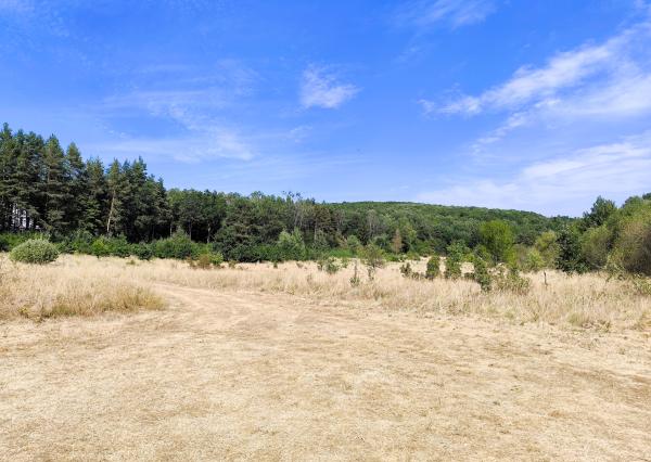 Chalupa 5 minút od Zvolena – 60m2, pozemok 501 m2, Bienska