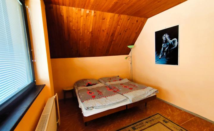 Na Predaj, Rodinný dom 240 m2, s 2 garážou, Hontianske Nemce - fotografia 21