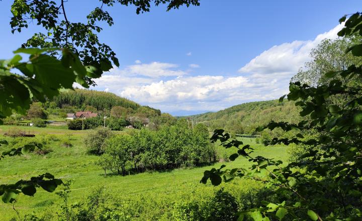 Na predaj, Stavebný pozemok, 1168 m2, Zvolen - Kráľová - fotografia 1