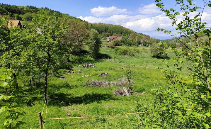Na predaj, Stavebný pozemok, 1168 m2, Zvolen - Kráľová - fotografia 5