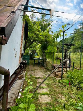 REZERVOVANÉ !!!  predaj záhradka  s chatkou - fotografia 12