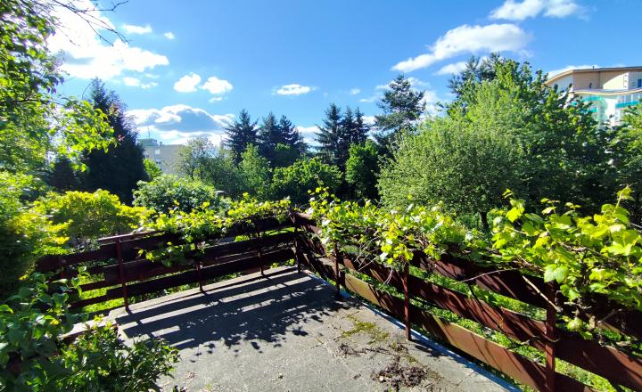 PREDANÉ, Rodinný dom 270 m2 v lukratívnej časti Banskej Bystrice – Tichá ulica - fotografia 40
