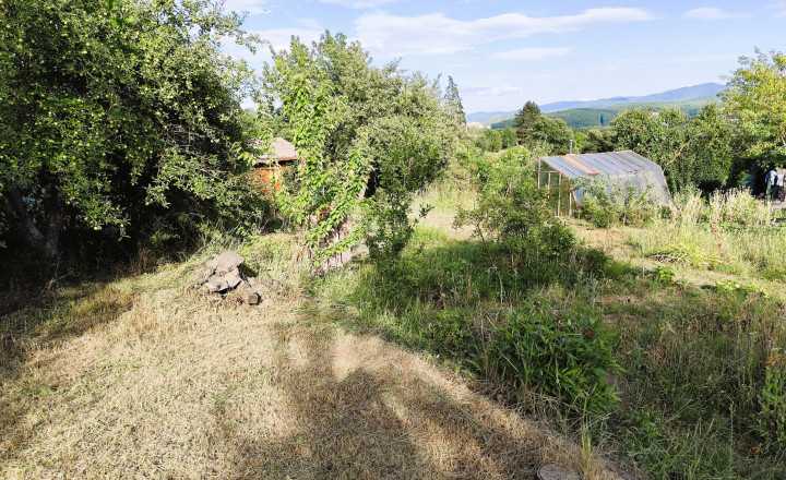 Na predaj záhrada s chatkou a studňou – Zvolen, Na Hlinách - fotografia 6
