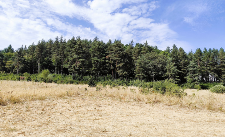 Chalupa 5 minút od Zvolena – 60m2, pozemok 501 m2, Bienska - fotografia 16