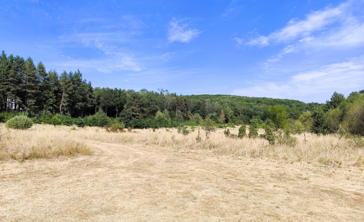 Chalupa 5 minút od Zvolena – 60m2, pozemok 501 m2, Bienska - fotografia 17