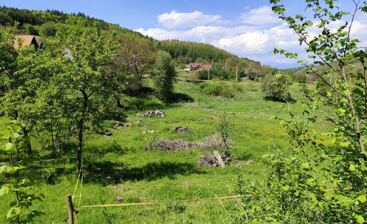 Na predaj, Stavebný pozemok, 1168 m2, Zvolen - Kráľová - fotografia 5