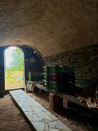 Čarovný vinohrad s pivnicou a tohtoročnou úrodou v cene - fotografia 13