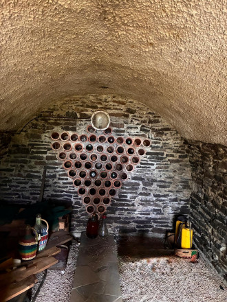 Čarovný vinohrad s pivnicou a tohtoročnou úrodou v cene - fotografia 14